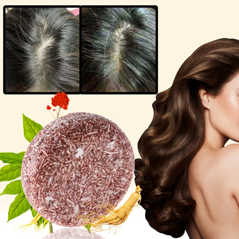 Shampoing Solide Polygonum Cheveux Gris - Barre Naturelle Bio Anti-Gris Assombrissant