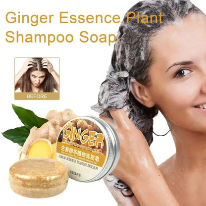 Savon Shampooing Gingembre Lavande & Polygonum - Saponifié à Froid Cheveux Soyeux