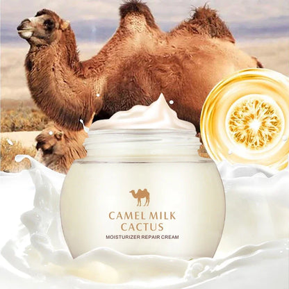 Crème Hydratante Lait Chamelle Cactus - Nourrissante Rajeunissante Longue Durée Naturelle Soin Beauté
