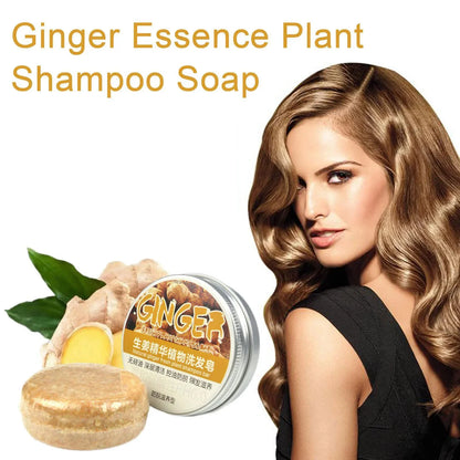 Savon Shampooing Gingembre Lavande & Polygonum - Saponifié à Froid Cheveux Soyeux