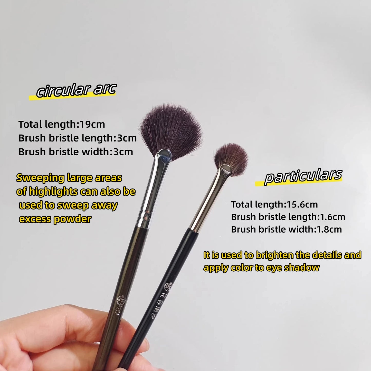 Pinceau Highlighter Éventail Arc Circulaire - Poudre Blush Détails Illuminateur Visage Professionnel Beauté