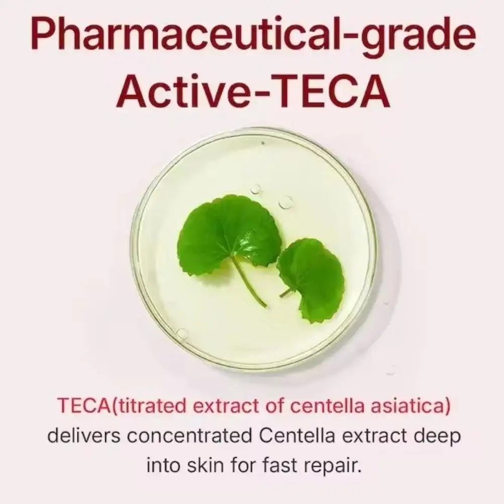 Crème Madeca Centella Asiatica - Absorption Rapide Non-Grasse Raffermissante Anti-Rides Hydratante K-Beauty