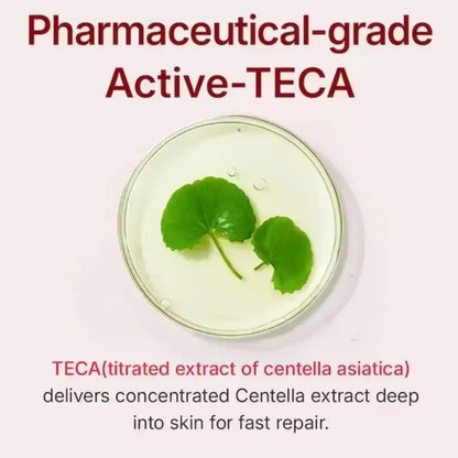 Crème Madeca Centella Asiatica - Absorption Rapide Non-Grasse Raffermissante Anti-Rides Hydratante K-Beauty