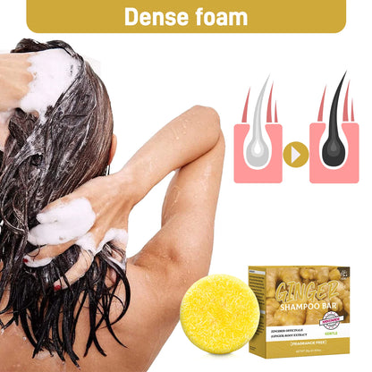 Shampooing Naturel au Gingembre & Aloe Vera - Hydratation Profonde