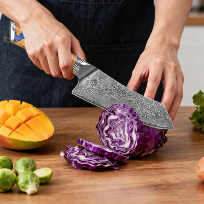 Couteau de Cuisine Professionnel Acier Inoxydable - Couperet Chef
