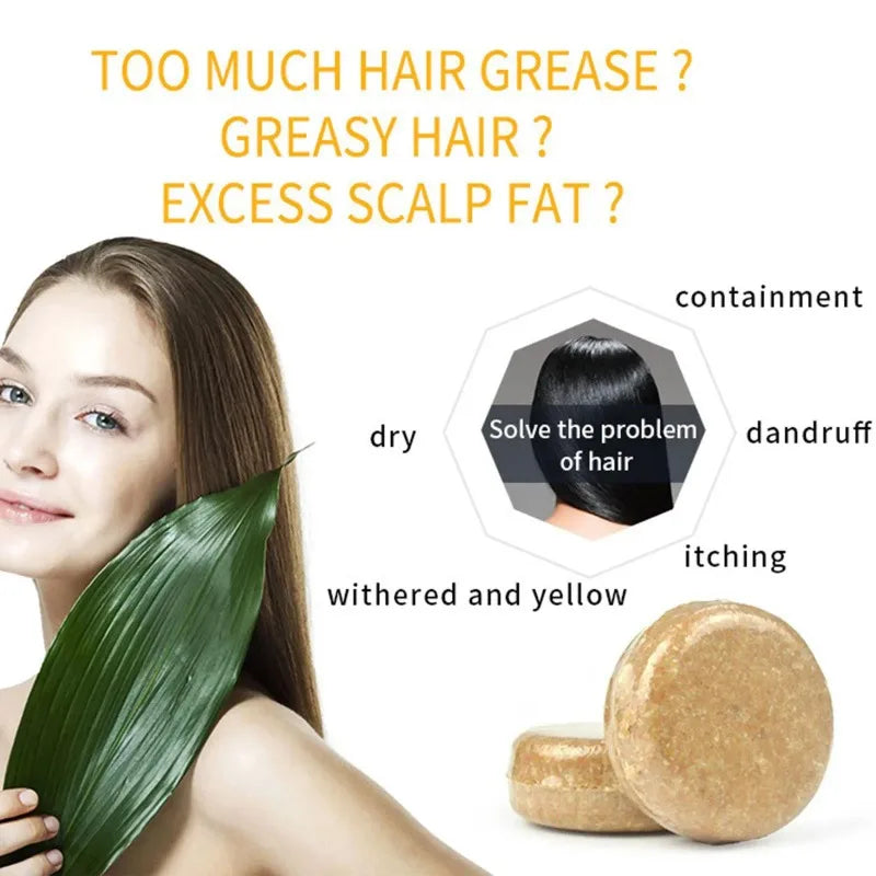 Savon Shampooing Gingembre Lavande & Polygonum - Saponifié à Froid Cheveux Soyeux