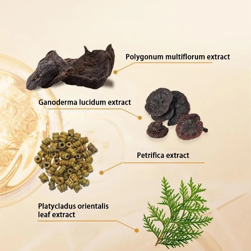 Savon Shampooing Herbes Naturelles 120g - Anti-Chute Volume Contrôle Sébum