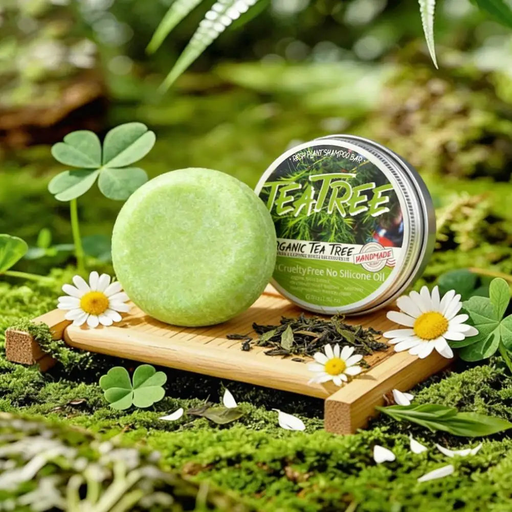 Pack 4 Savons Shampooing Naturels - Huiles Essentielles Anti-Pelliculaire