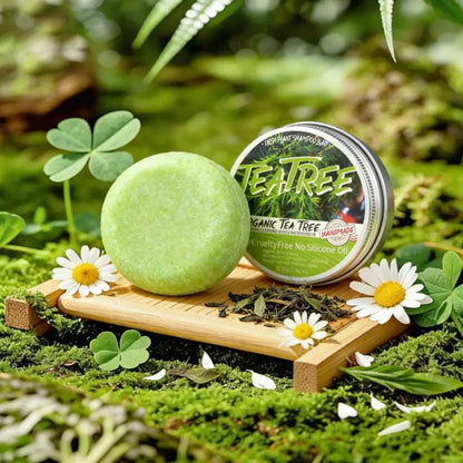 Pack 4 Savons Shampooing Naturels - Huiles Essentielles Anti-Pelliculaire
