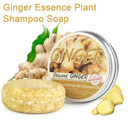 Savon Shampooing Gingembre Lavande & Polygonum - Saponifié à Froid Cheveux Soyeux