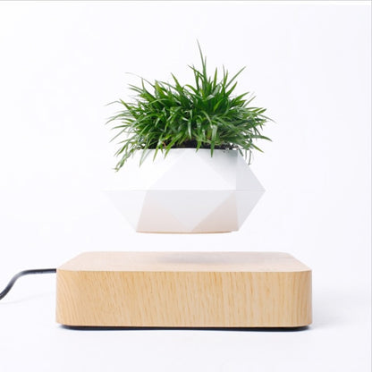 Pot de Fleurs Lévitation Magnétique - Bonsaï Flottant Rotation 360° Décoration Zen