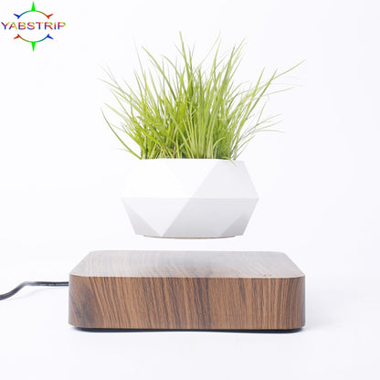 Pot de Fleurs Lévitation Magnétique - Bonsaï Flottant Rotation 360° Décoration Zen